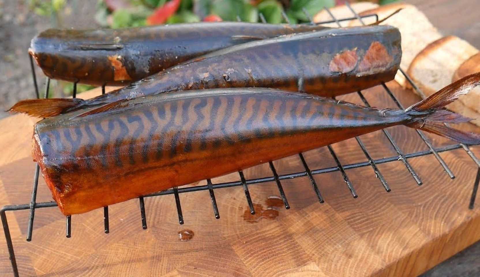 Изображение блюда: Скумбрия горячего копчения в коптильне — Eda.Video