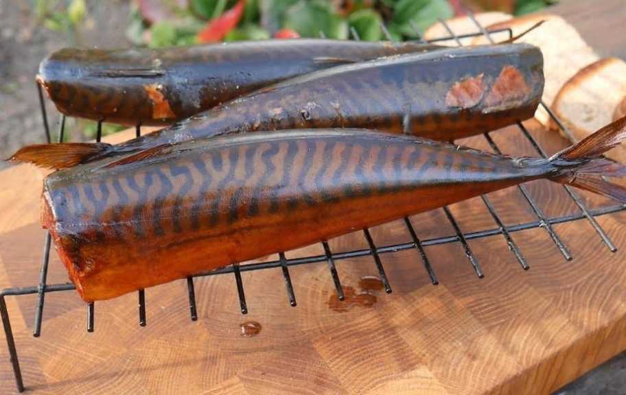 Рецепт: Скумбрия горячего копчения в коптильне