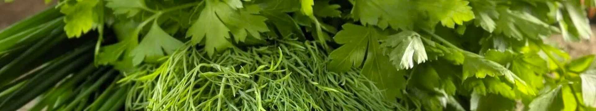 Заготовка петрушки на зиму — Eda.Video
