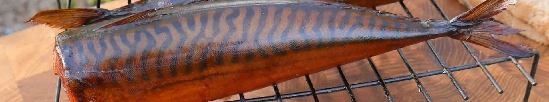 Скумбрия горячего копчения в коптильне — Eda.Video