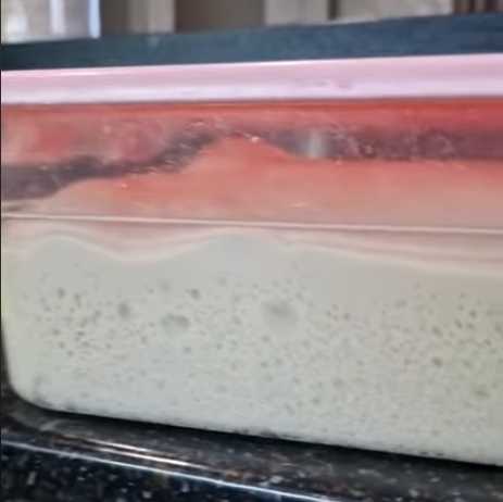 Пицца на живых дрожжах-Шаг 1