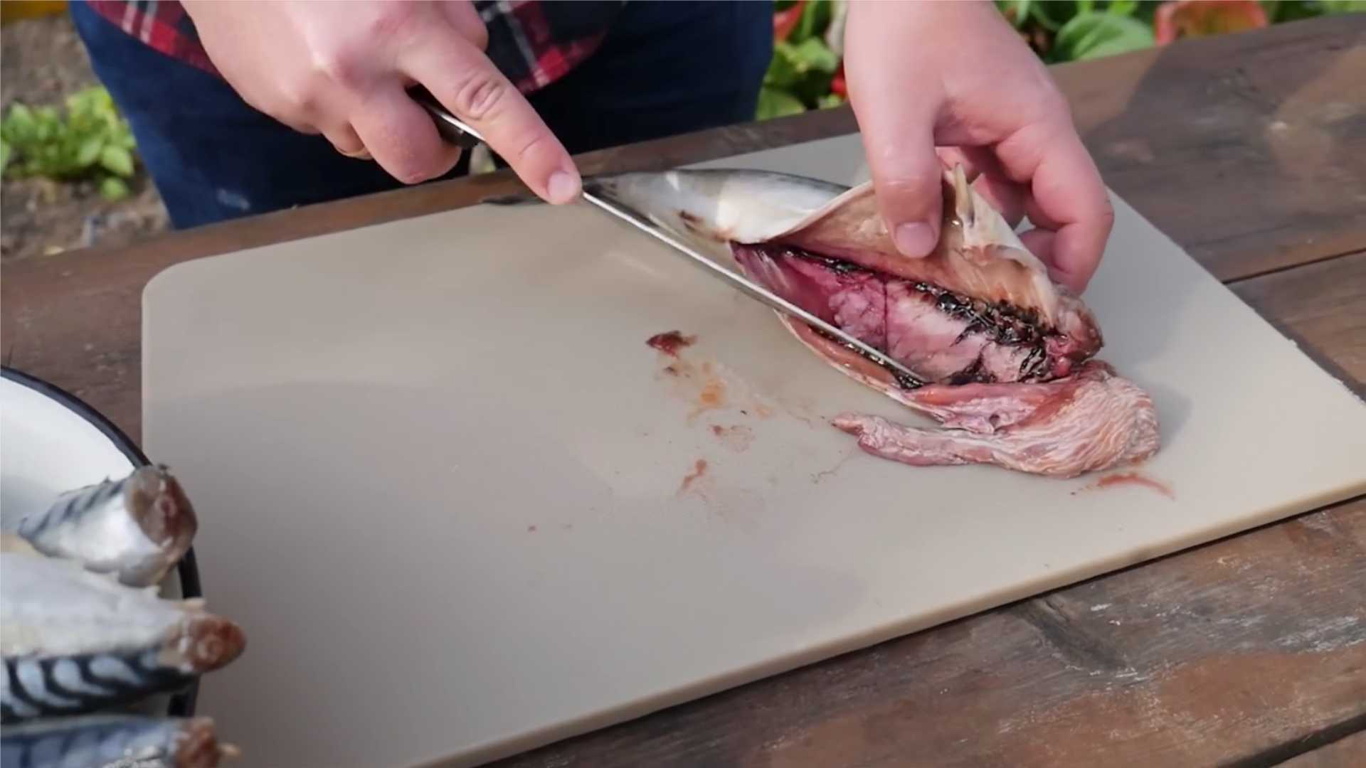 Скумбрия горячего копчения в коптильне-Шаг 2