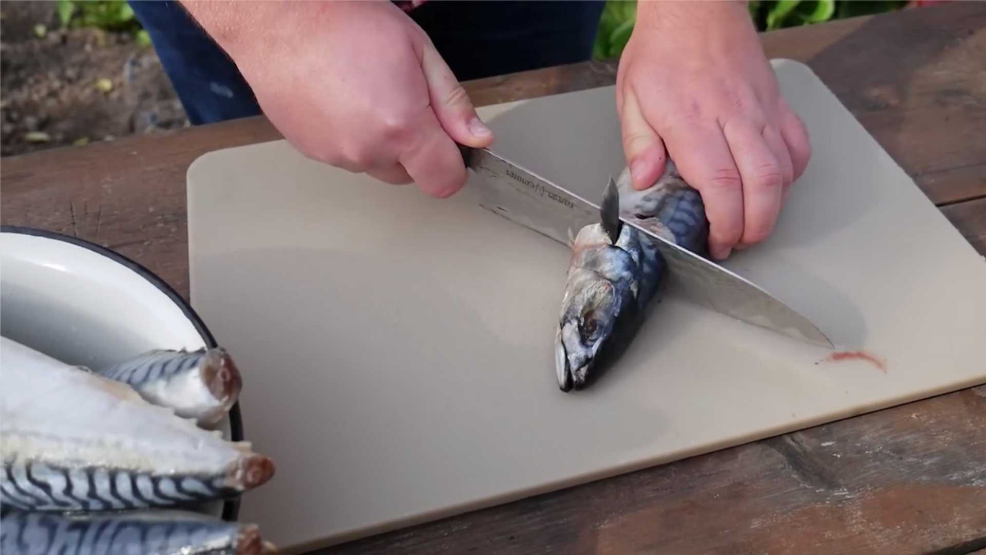 Скумбрия горячего копчения в коптильне-Шаг 1