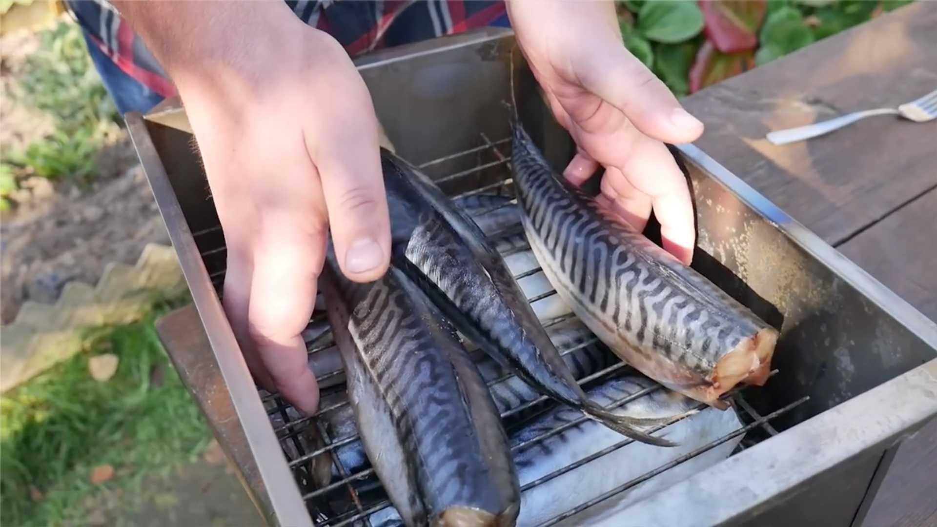 Скумбрия горячего копчения в коптильне-Шаг 8