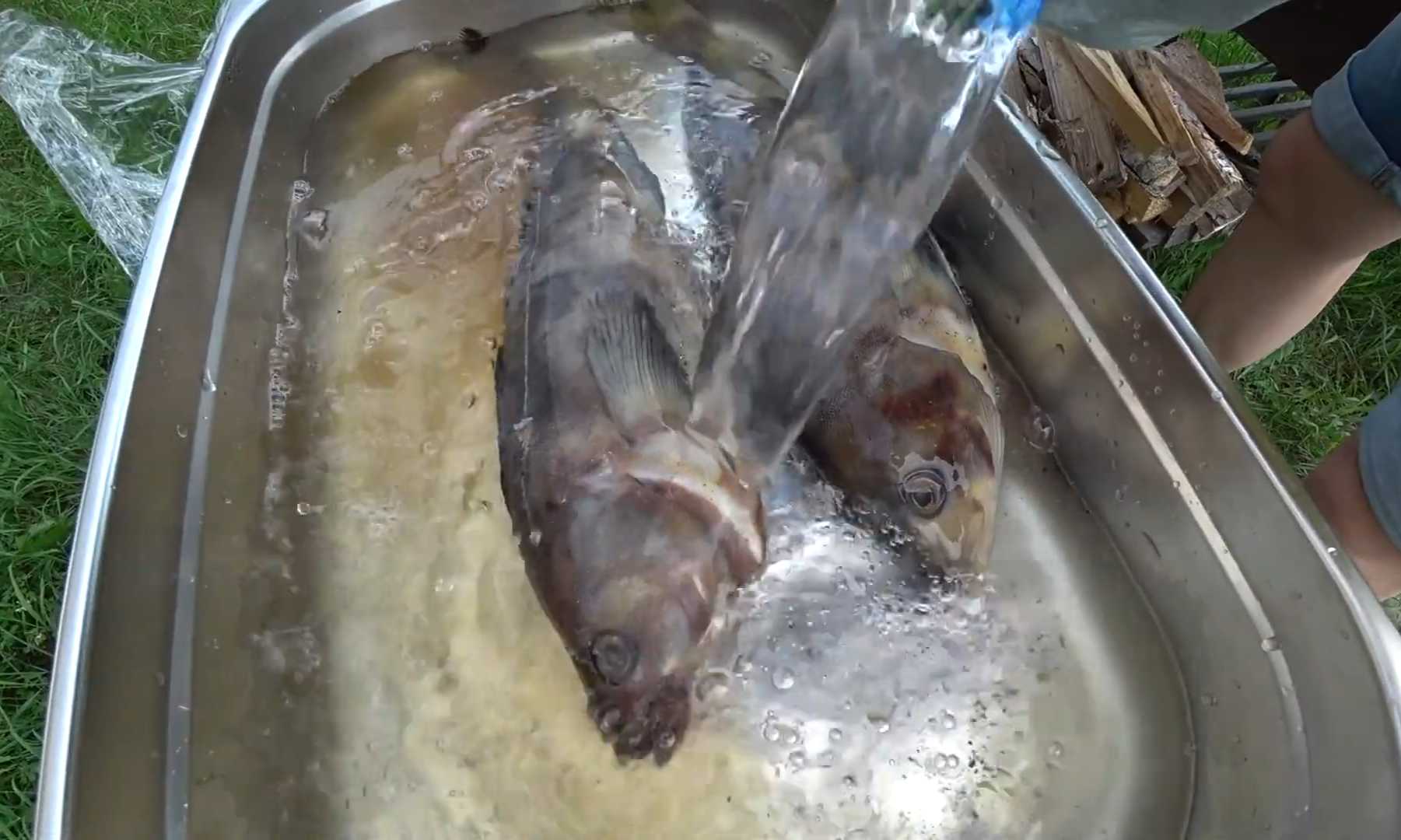 Рыба терпуг горячего копчения-Шаг 4