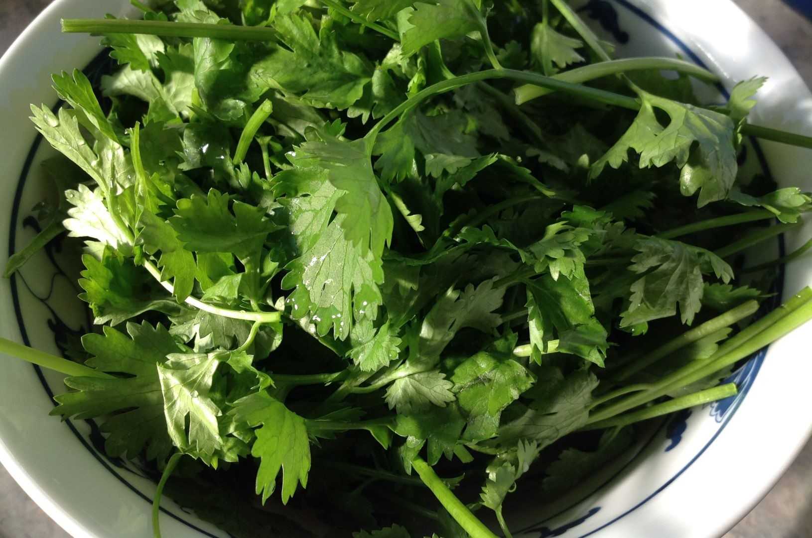 Заготовка зелени в банках и кубиках-Шаг 1