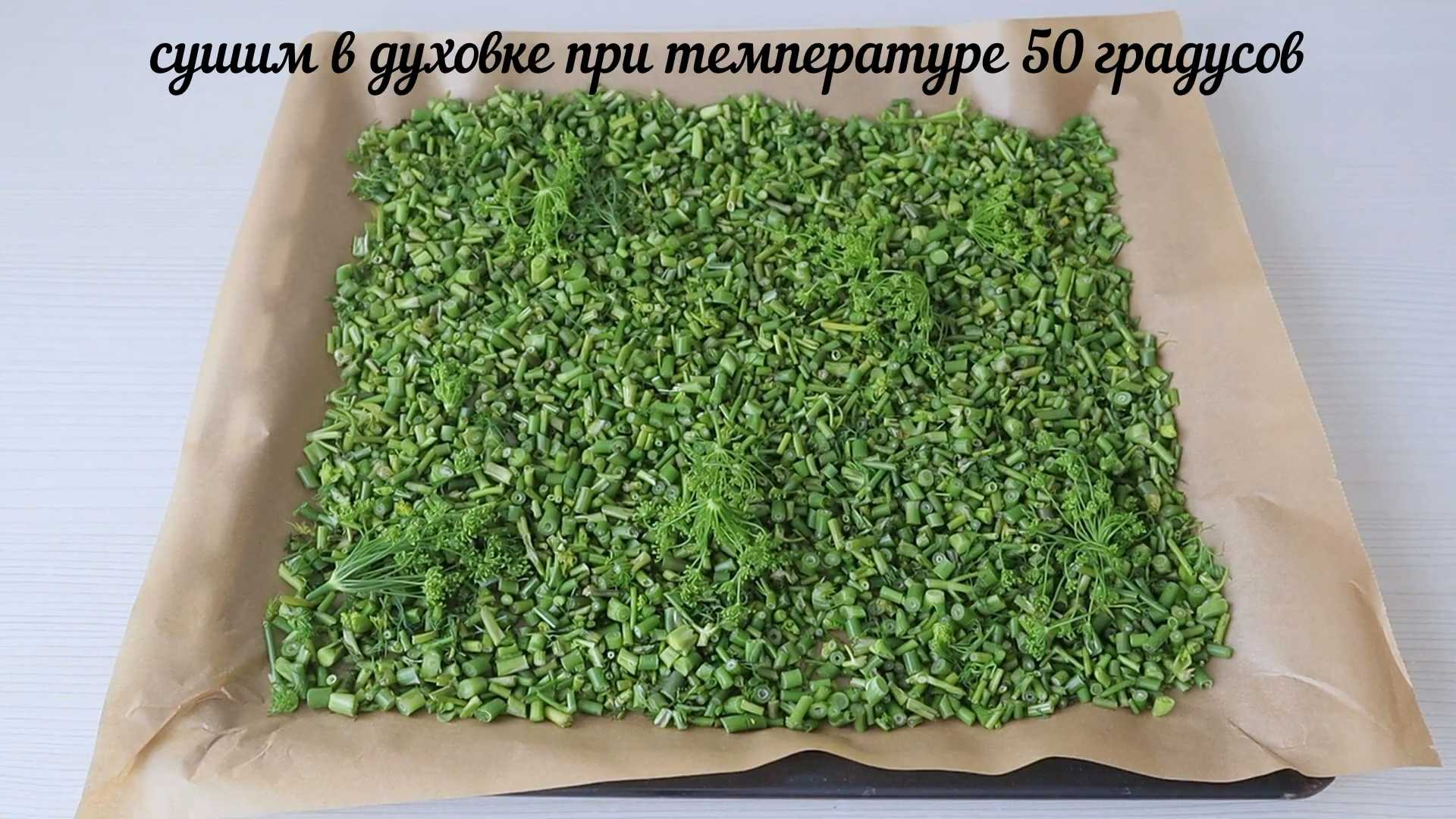 Заготовка укропа на зиму-Шаг 4