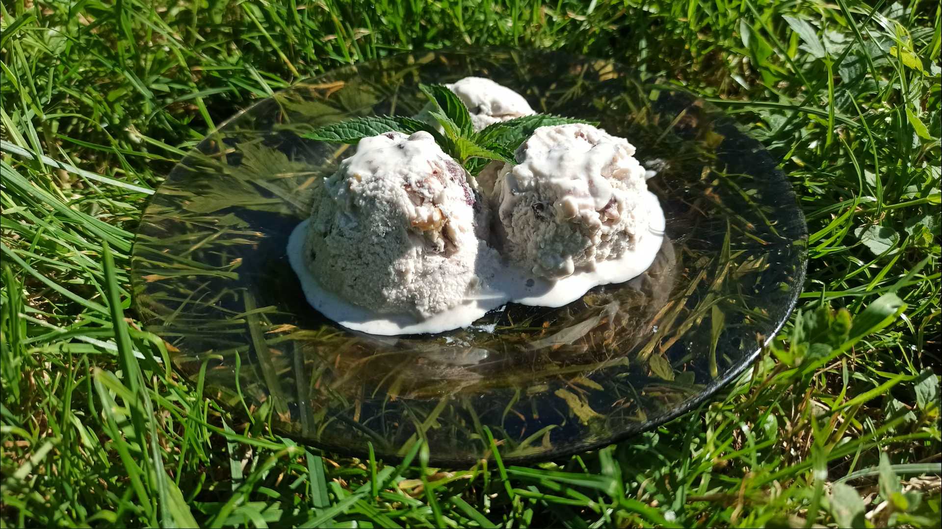 Домашнее алкогольное мороженое — Шаг 12